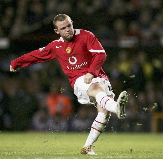 很可能不仅 很可能不仅